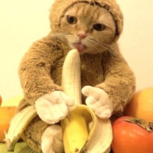 Meet your Posher, Abbi - Picture 1 of 1